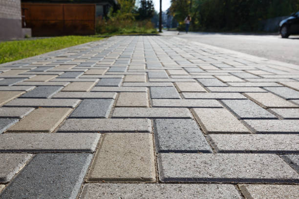 Best Affordable Driveway Pavers  in Oak Grove, MN