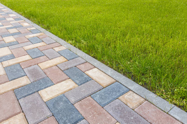 Best Best Driveway Pavers  in Oak Grove, MN